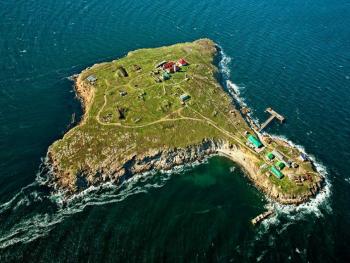 Саакашвили предложил открыть казино на острове Змеиный