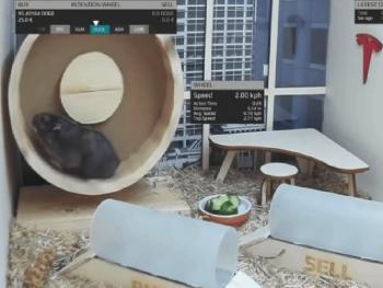 ТОП-10 необычных новостей из мира криптовалют 