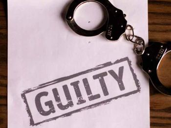 Железняк стверджує, що у генпрокурора "намалювали" справи проти нелегалів